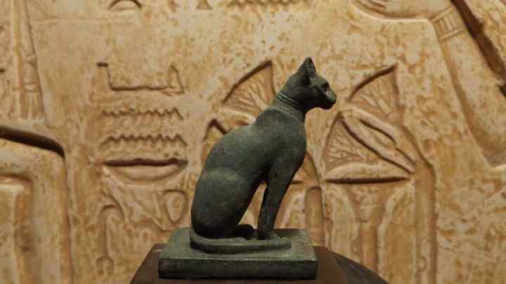 Священні тварини стародавнього Єгипту