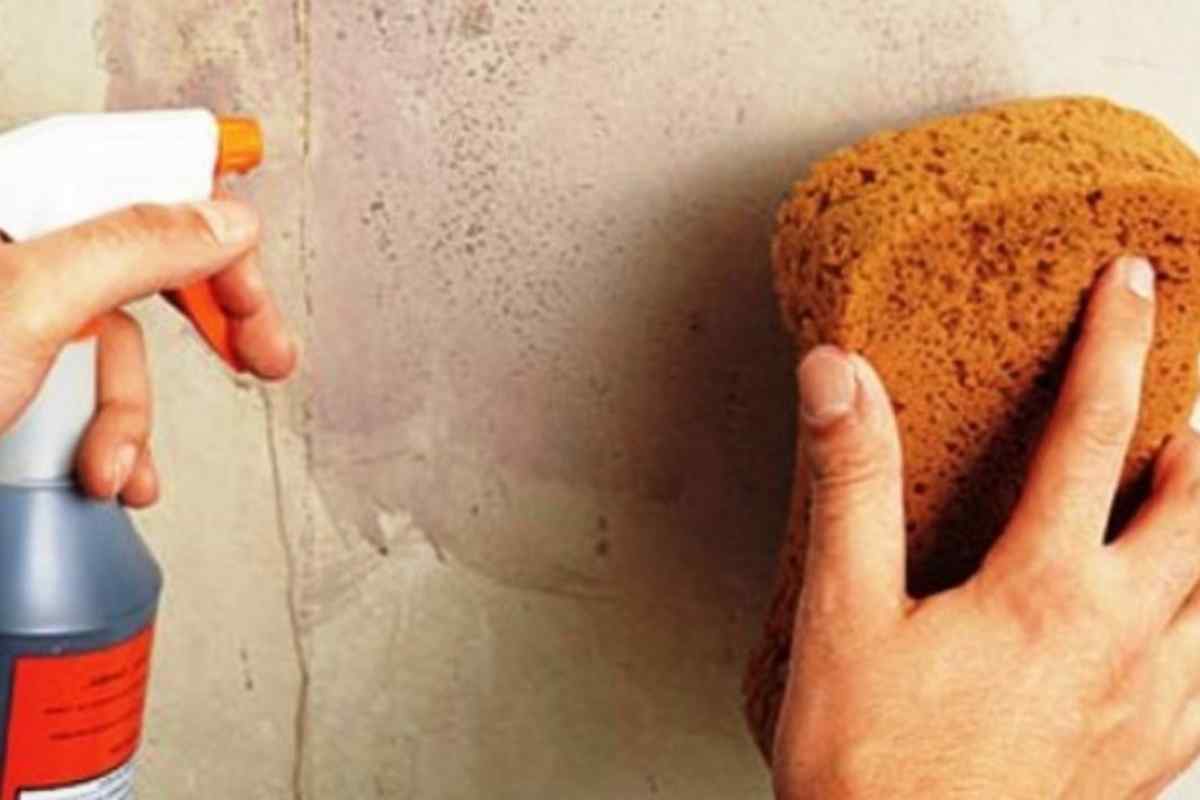 Як вилучити масляну фарбу зі стін