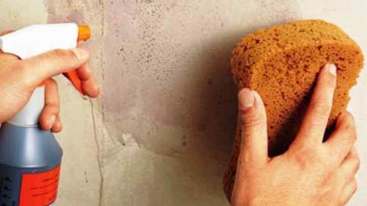 Як вилучити масляну фарбу зі стін