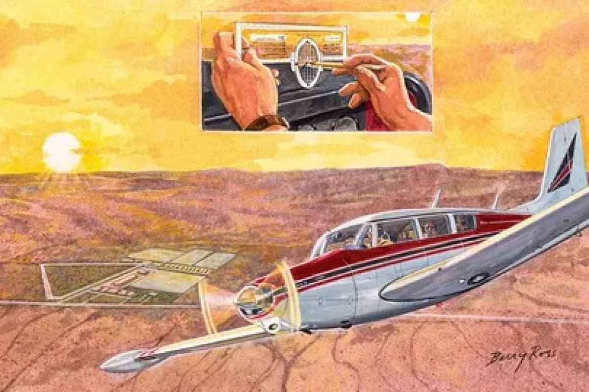 8 дивовижних історій про пасажирів-безбілетників, яким вдалося пережити політ у відсіку шасі літаків