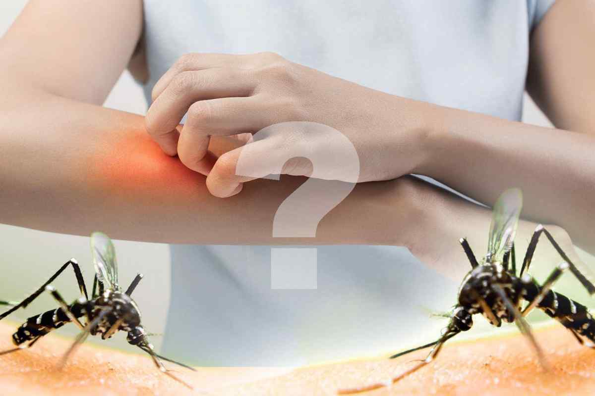 Чому укус комара чешеться