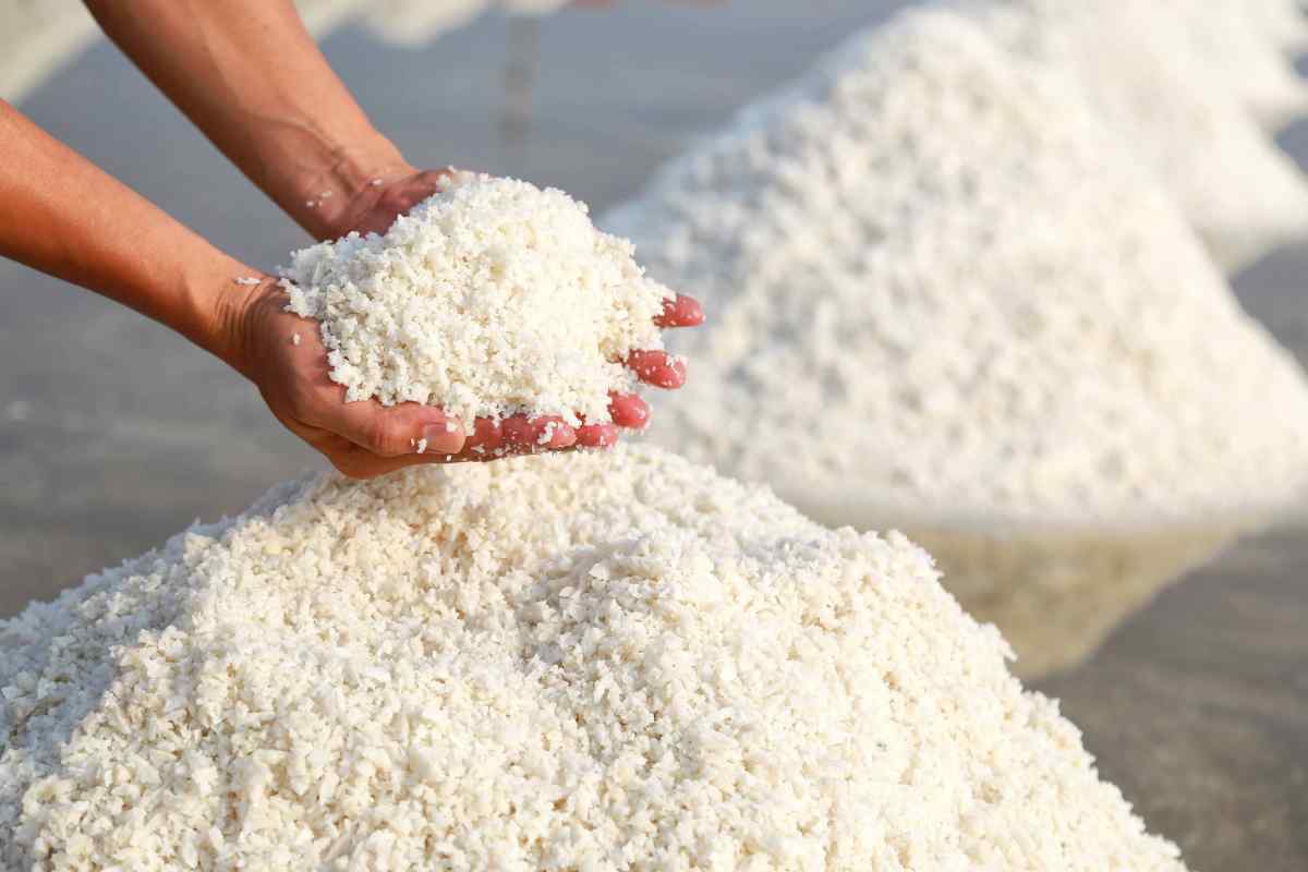 Як визначити основу солі