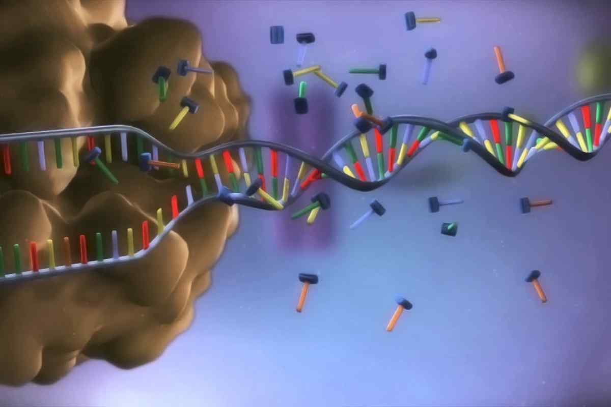 Як відкрили ДНК