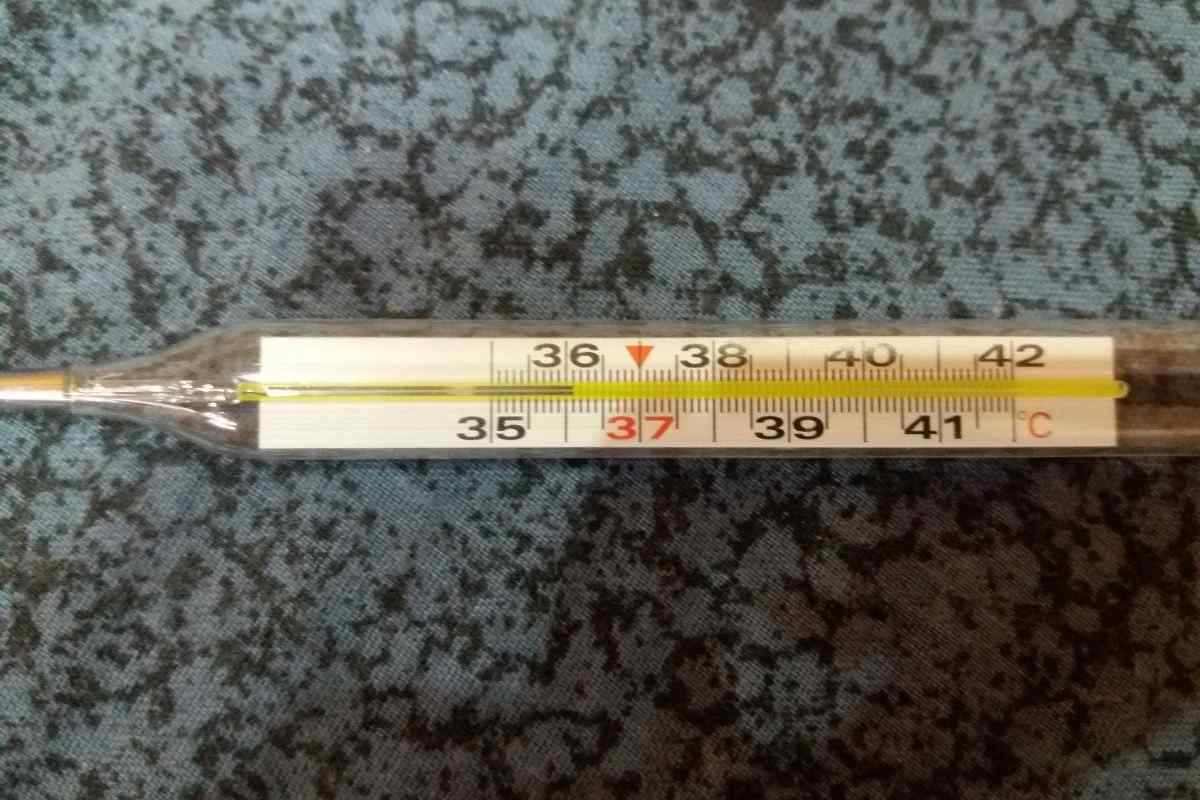 Чим градусник відрізняється від термометра