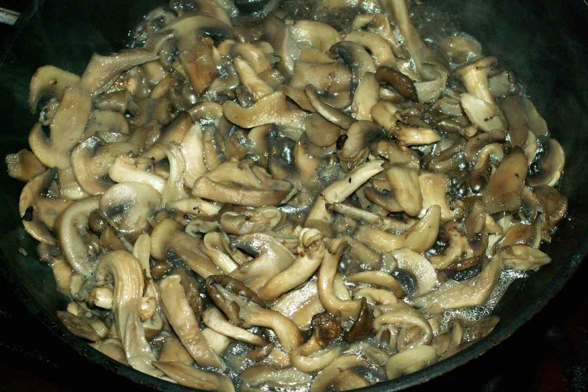 Скільки готувати гриби-вішенки