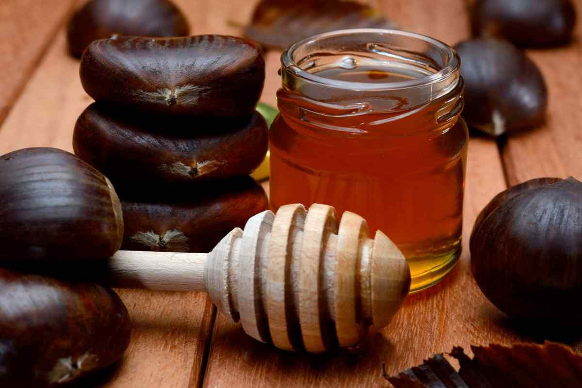 Гречаний мед: лікувальні властивості та протипоказання