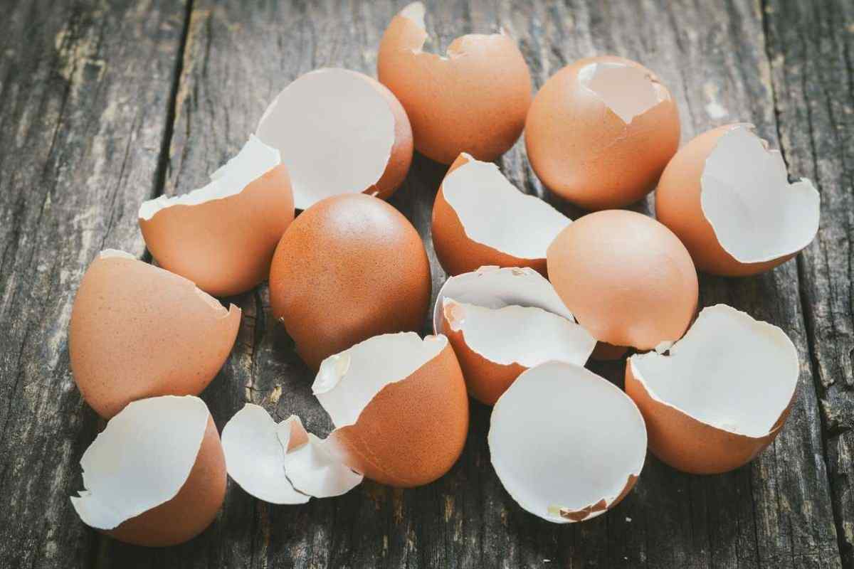 Як використовувати яєчну шкаралупу