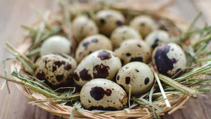 Чому дітям до року дають перепелині яйця