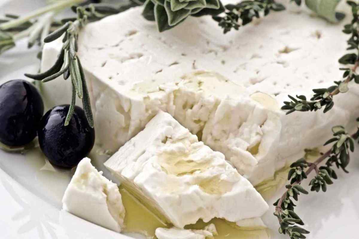 Грецький сир фета в домашніх умовах. Чим можна замінити сир фета