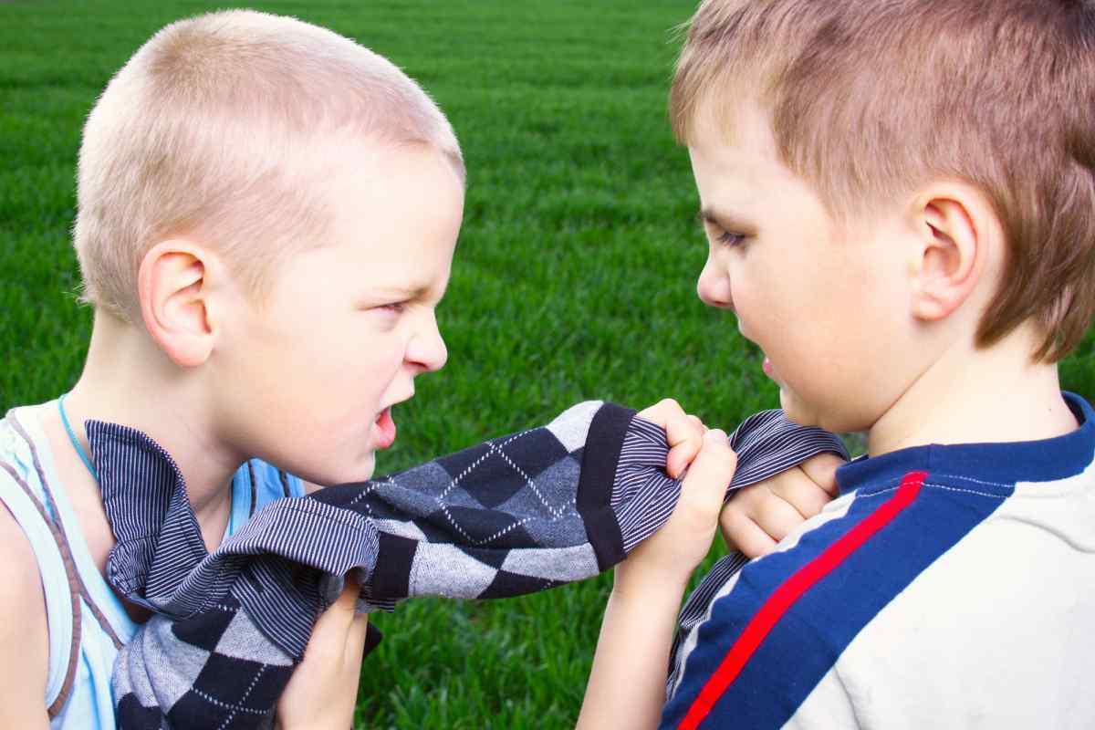 Агресивна поведінка: причини, особливості, форми, корекція. Агресивна поведінка дітей і підлітків
