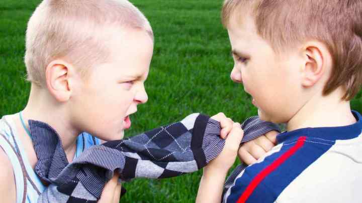 Агресивна поведінка: причини, особливості, форми, корекція. Агресивна поведінка дітей і підлітків