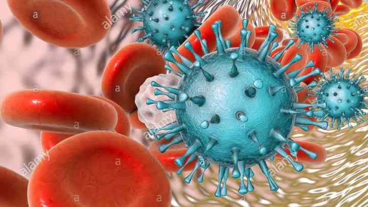 Цитомегаловірус: лікування, симптоми, профілактика