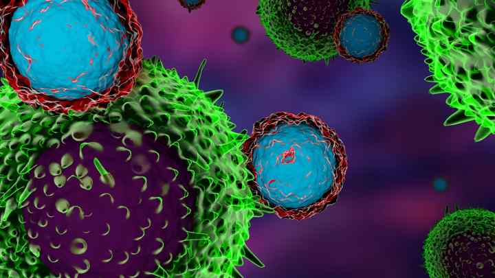 Макрофаги - це клітини імунітету, які необхідні для повноцінного захисту організму від агресивних впливів