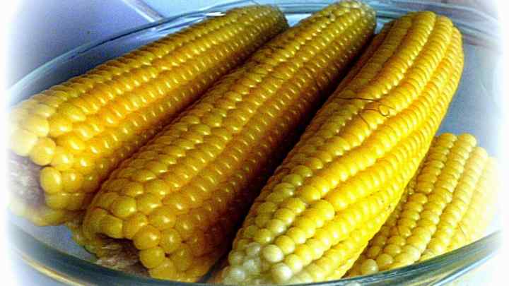 Кукурудза: корисні властивості та застосування