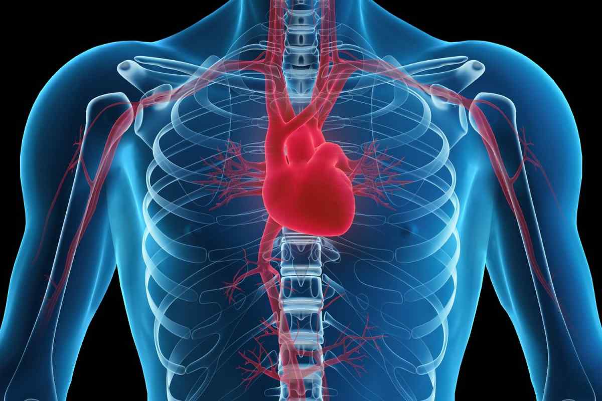 Тампонада серця: причини, симптоми, ознаки, невідкладна допомога