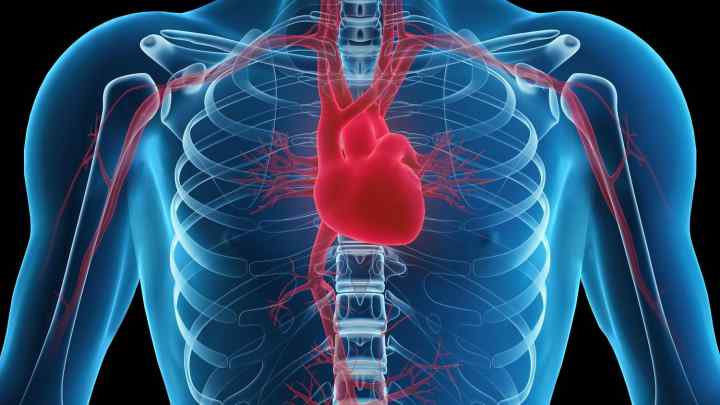 Тампонада серця: причини, симптоми, ознаки, невідкладна допомога
