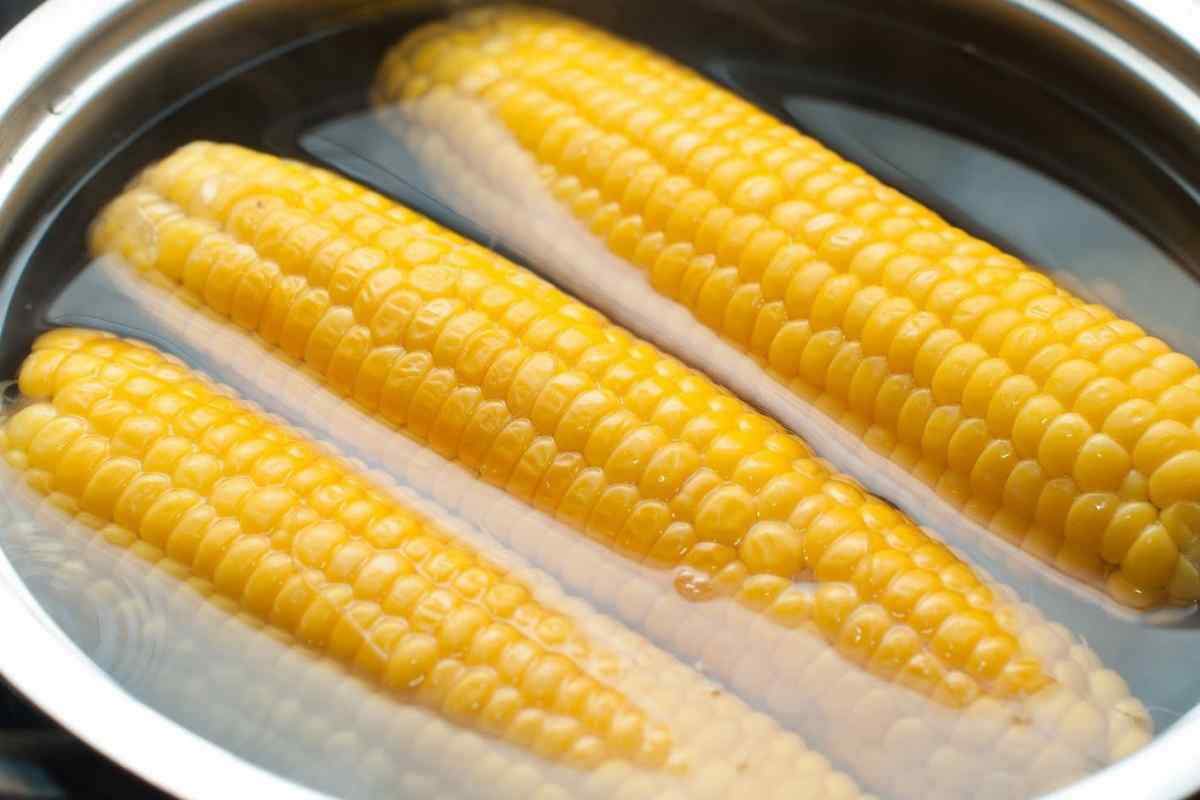 Як варити кукурудзу в мікрохвильовці? Кілька нехитрих порад