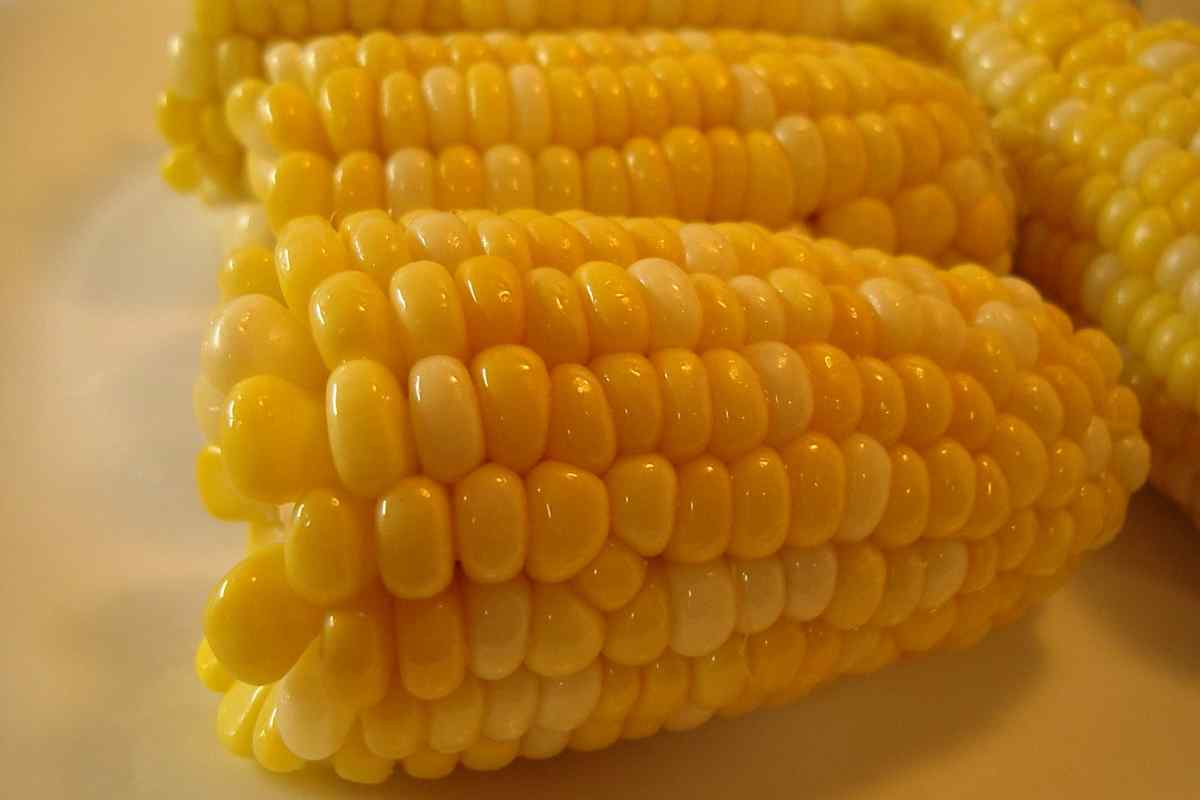 Як довго варити кукурудзу, щоб вона була соковитою, м 'якою і ніжною