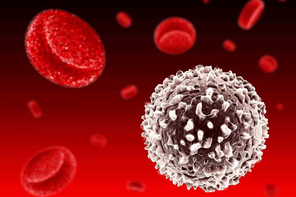 Що робити якщо лімфоцити в крові підвищені?