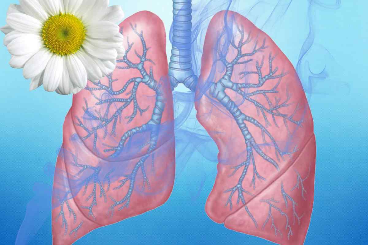 Фіброзно-кавернозний туберкульоз: симптоми і лікування. Профілактика та корисні поради