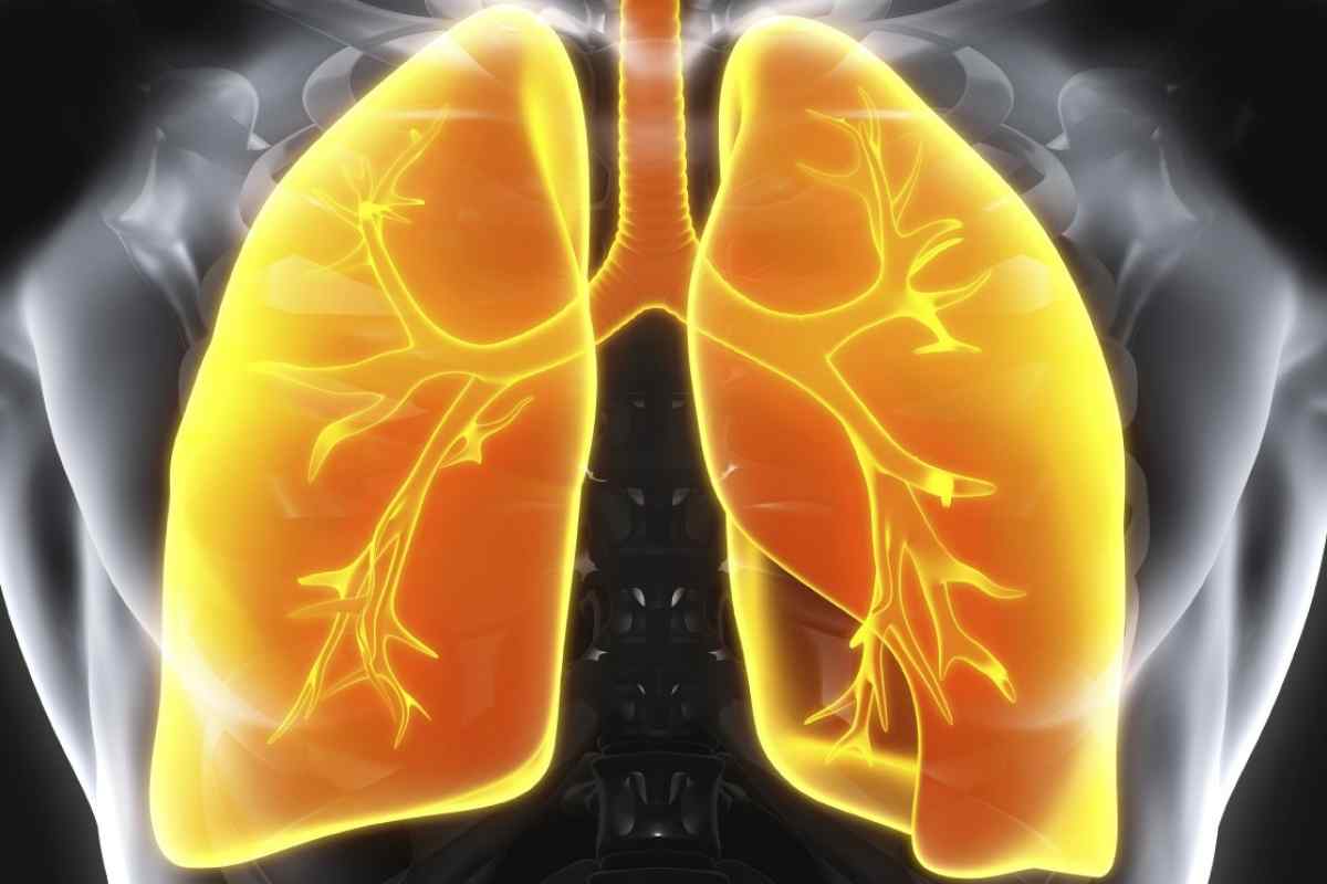 Класифікація туберкульозу легенів
