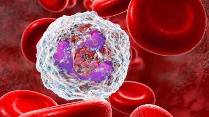 Підвищені лейкоцити в сечі у дитини: причини і наслідки