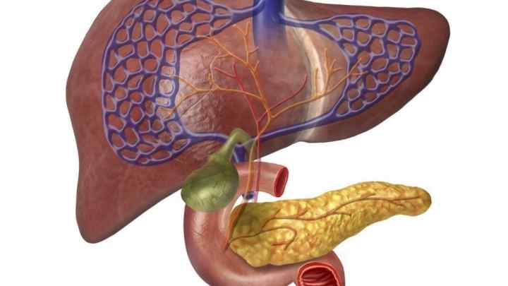 Стеатоз підшлункової залози: причини, симптоми та лікування