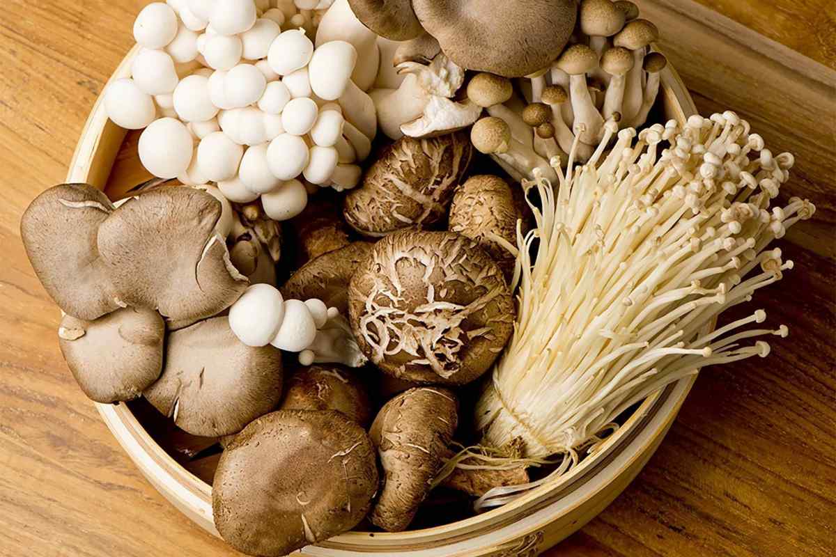 Чим корисні гриби? Різновиди грибів, застосування