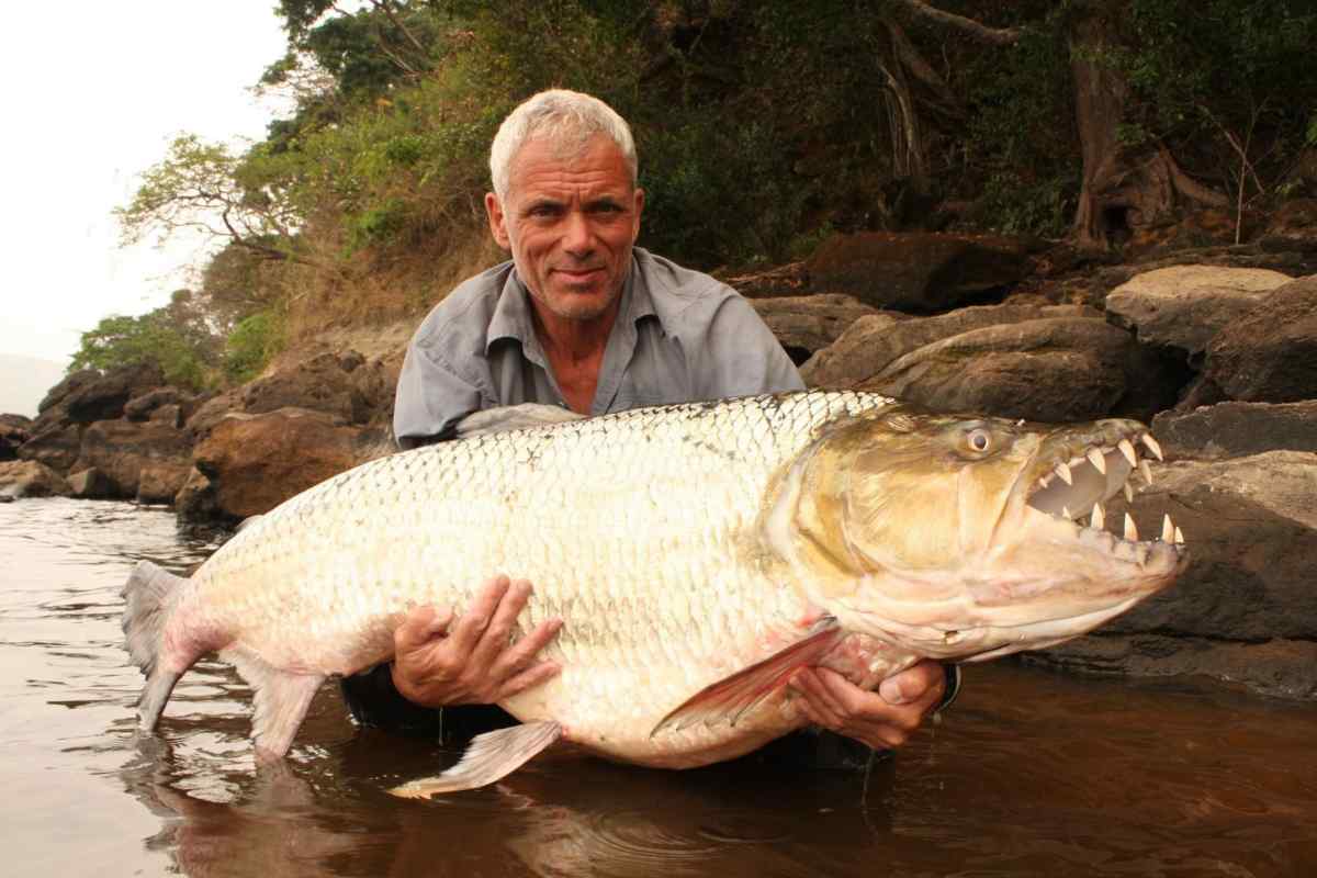 Найбільші риби у світі