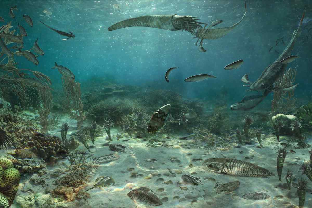 Палеозойська ера: періоди, клімат. Рослинний і тваринний світ палеозойської ери