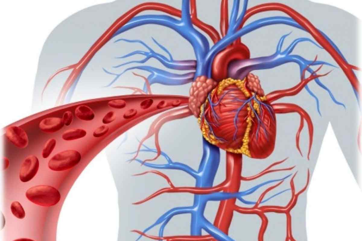 Легеневе серце: причини, симптоми, способи діагностики та лікування