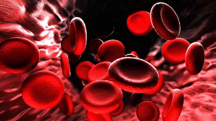 Як підвищити гемоглобін у крові