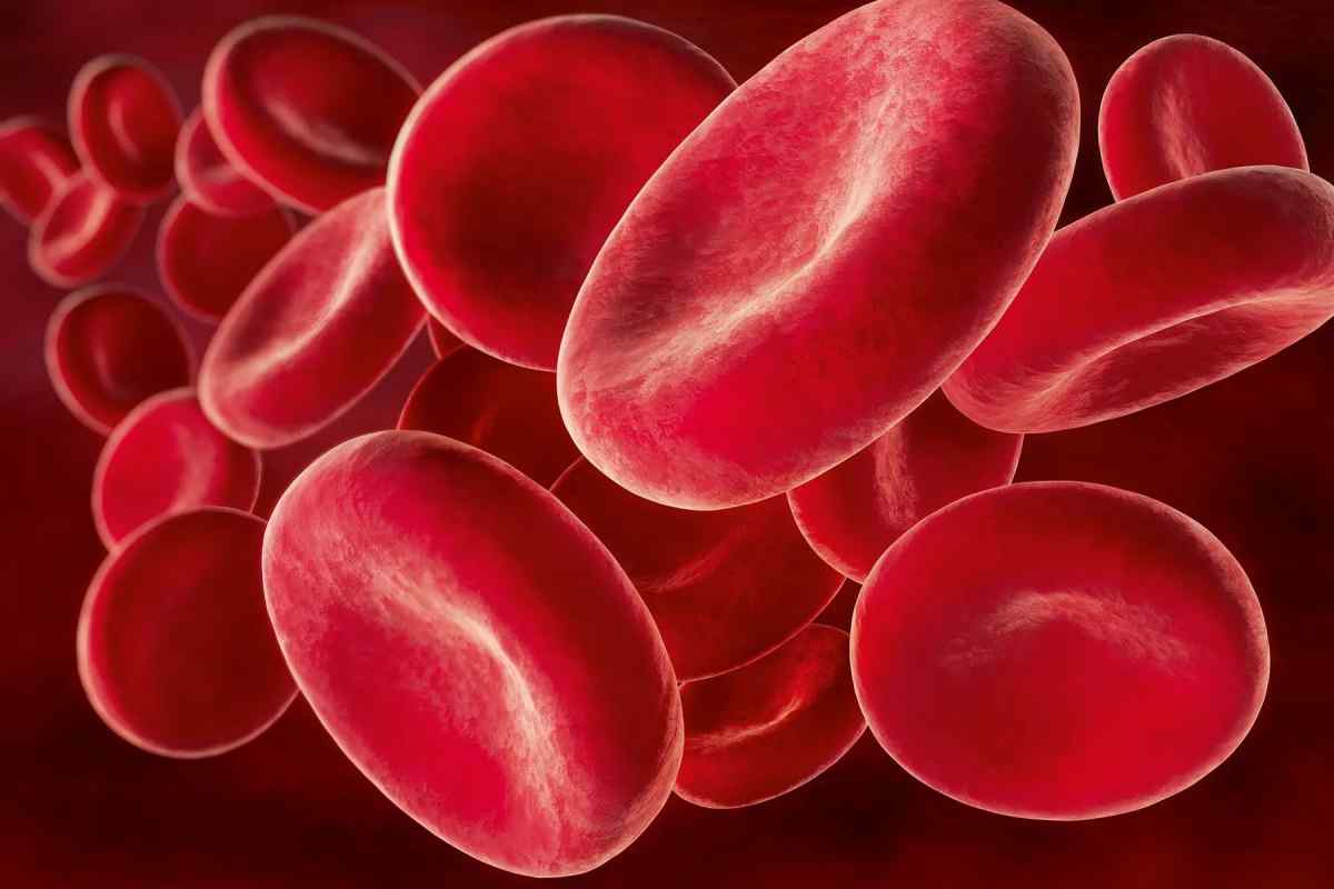 Підвищуємо гемоглобін у крові правильно