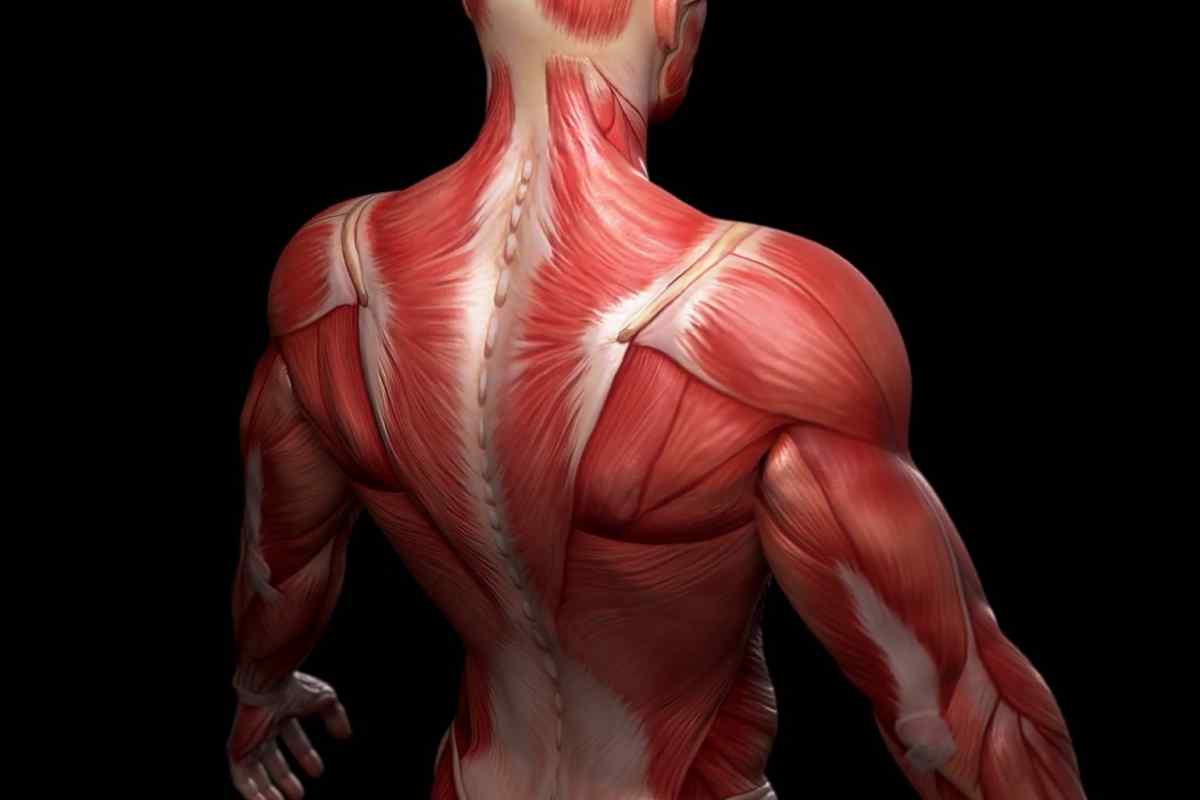 Що робити при розтягненні м 'язів тіла людини?