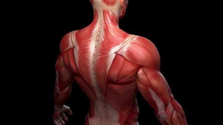Що робити при розтягненні м 'язів тіла людини?