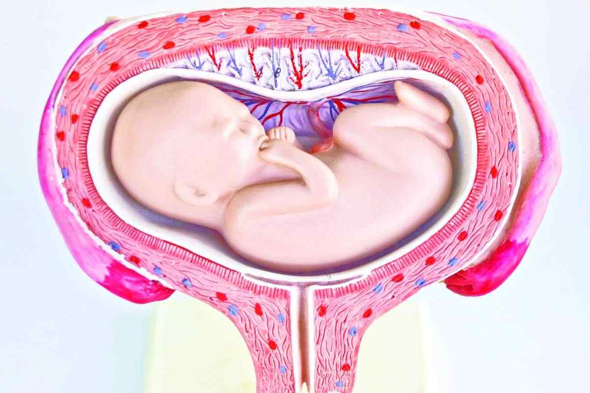 Старіння плаценти при вагітності: причини і наслідки