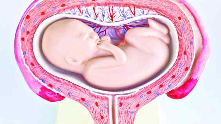Старіння плаценти при вагітності: причини і наслідки