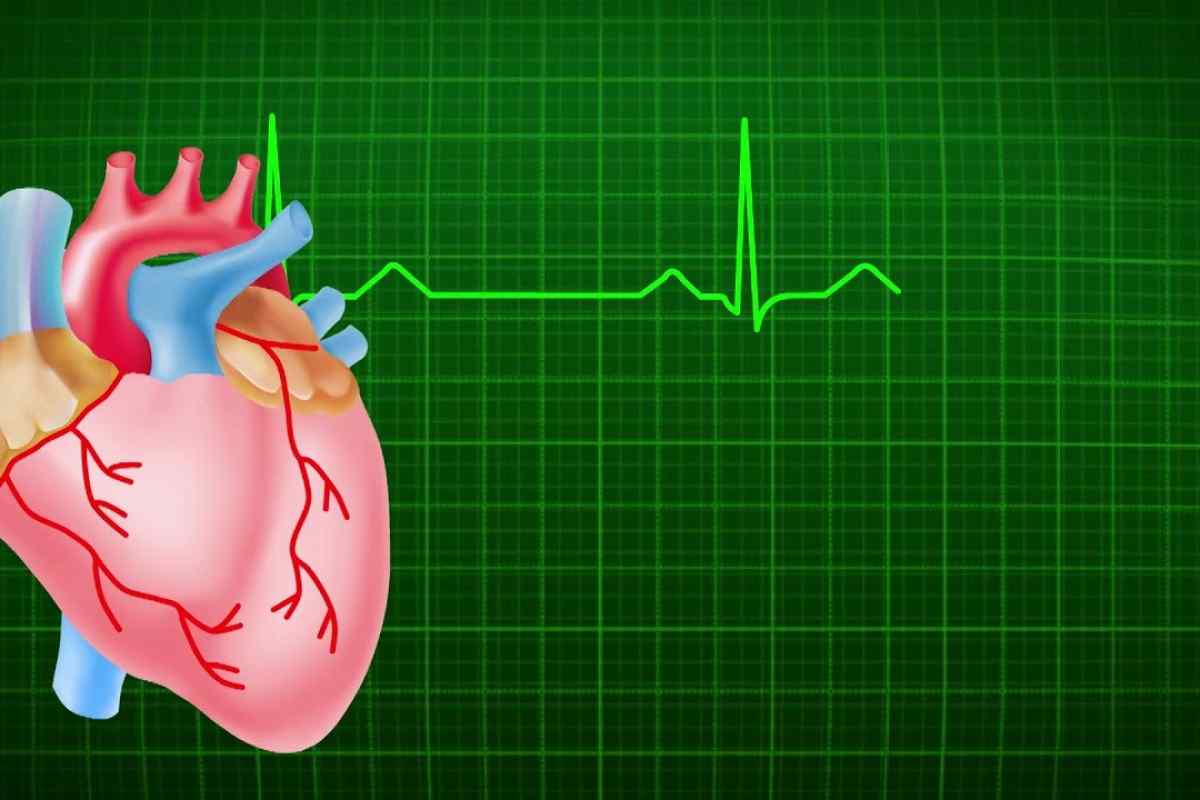 Що таке автоматизм серця? Порушення автоматизму серця