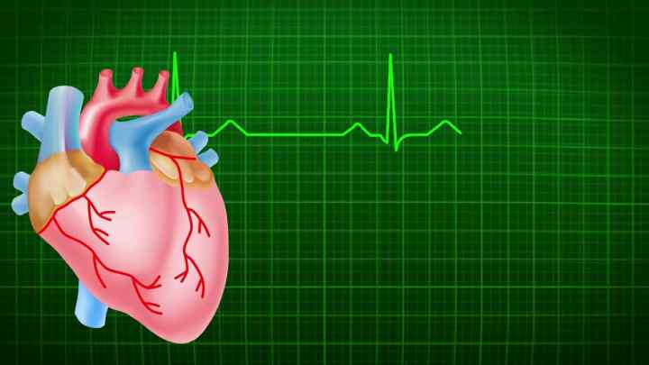Що таке автоматизм серця? Порушення автоматизму серця