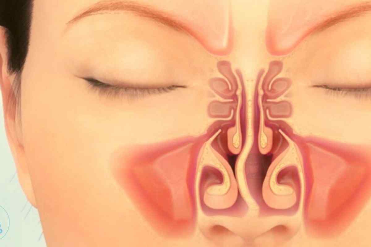 Що відбувається з повітрям у носовій порожнині? Анатомія носа