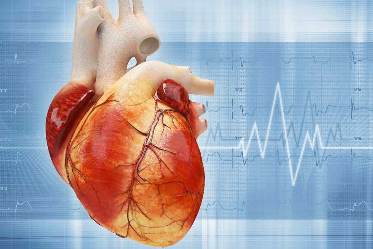 Фракція викиду серця: норма і патологія