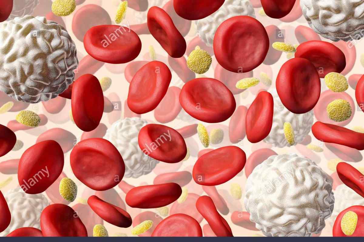Тромбоцити: норма у чоловіків у крові
