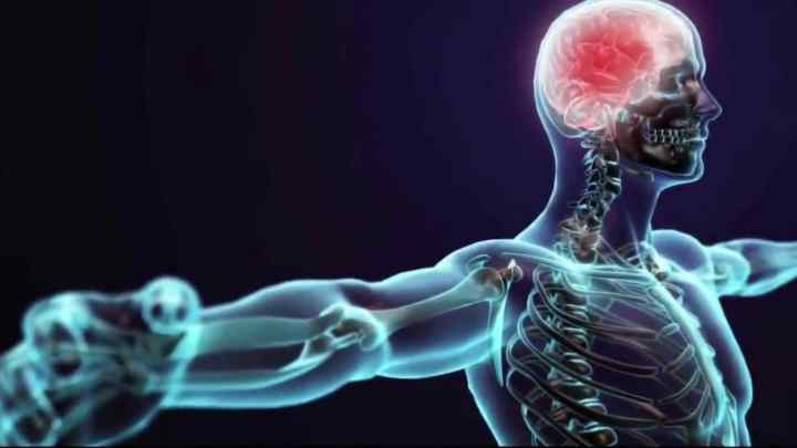 Що таке нервова система? Діяльність нервової системи, стан і захист
