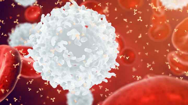 Лейкоцити в крові: норма за віком