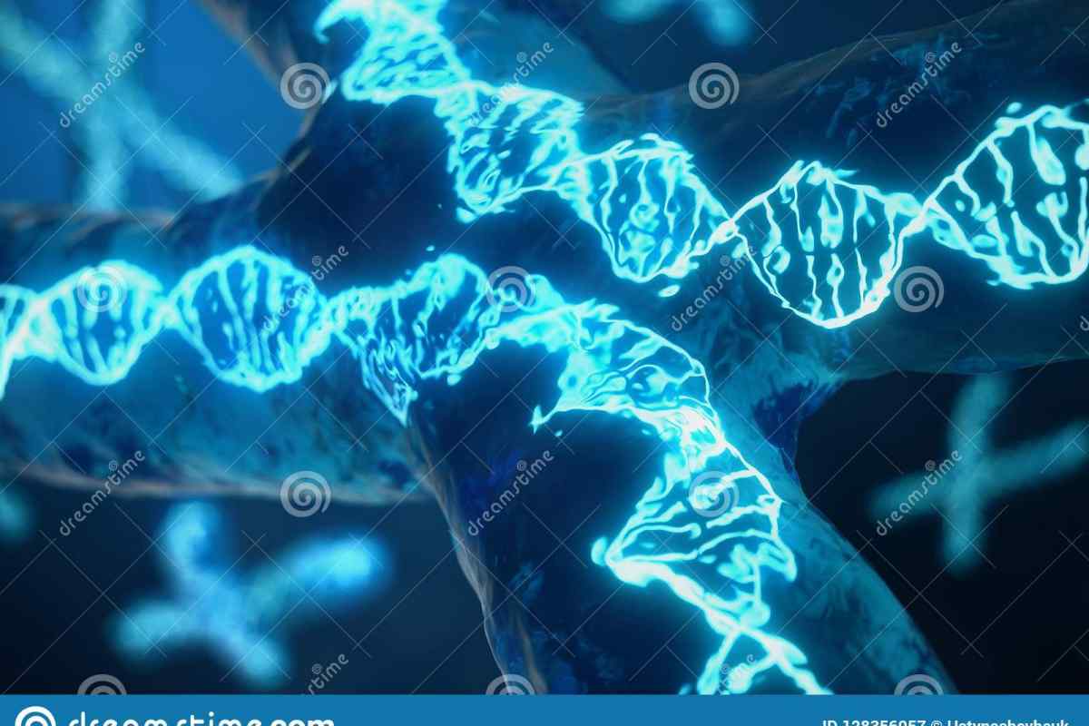 Трійничний код і функціональна одиниця генетичного коду