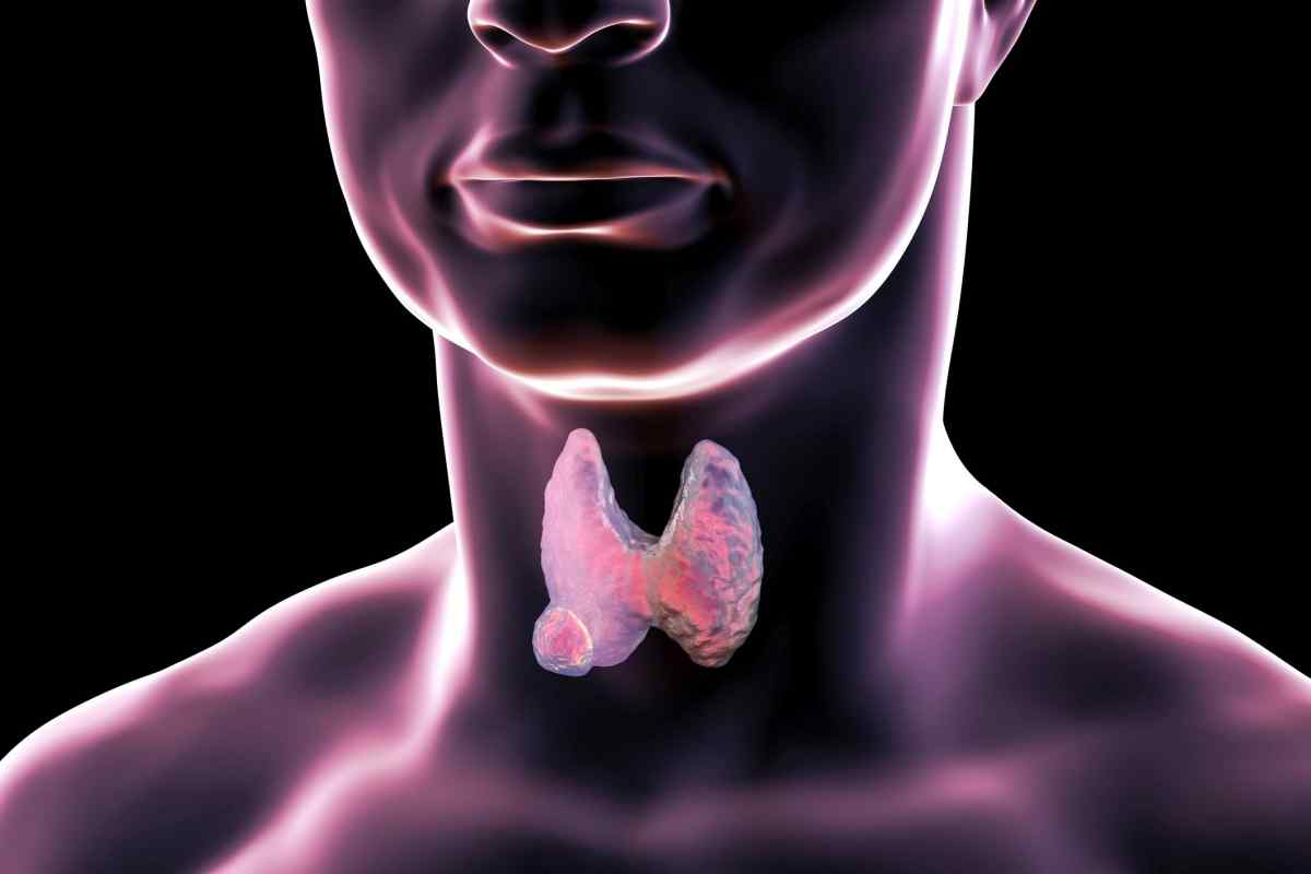 Онкомаркери щитовидної залози. Який онкомаркер показує рак щитовидної залози?