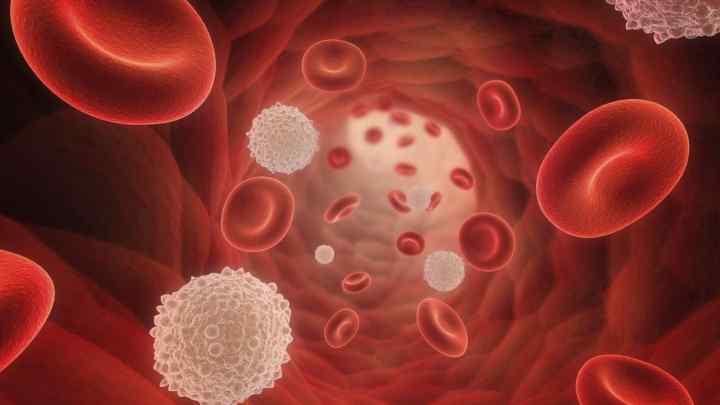 Підвищені еритроцити і лейкоцити в сечі: причини