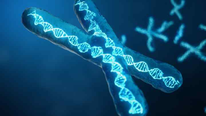 Мутація генів гемостазу: прояви та наслідки