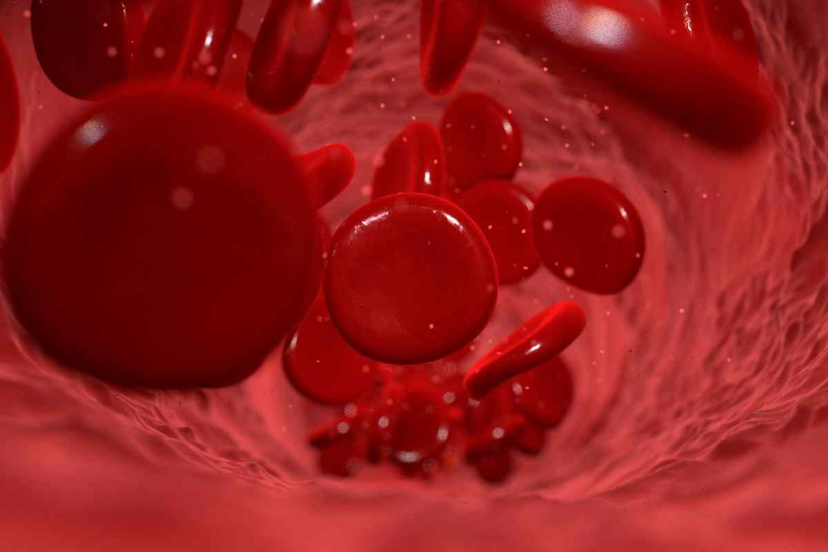 Патофізіологія крові: визначення, властивості