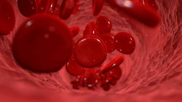 Патофізіологія крові: визначення, властивості